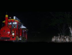 3 Wisata Malam Bogor yang Menarik dan Tidak Membosankan