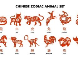 Warna Keberuntungan 2026: Panduan Feng Shui untuk Shio Kuda Api