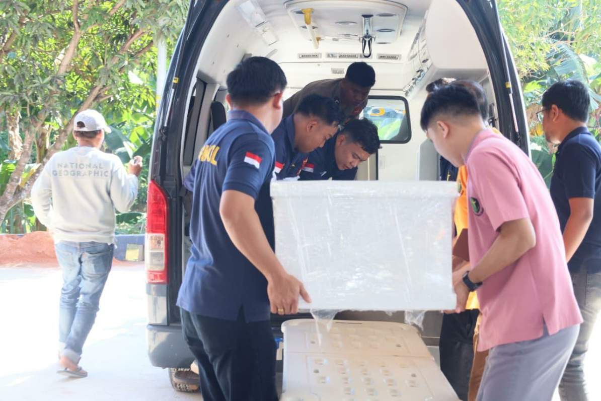 Kebakaran Kapal di Batam
