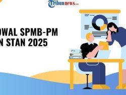 Waktu Pengumuman SPMB PKN STAN 2025, Jadwal dan Lokasi Seleksi Lanjutan III