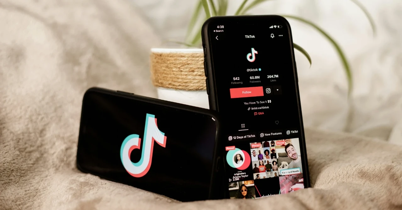 Izin TikTok