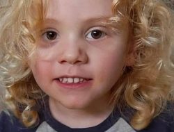 Bombshell in Missing Toddler Gus Lamont Case – New Police Move Revealed