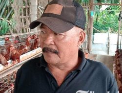 Fatkurrohman Sukses Bisnis dengan Autodidak, Panen 144 Kg Telur Harian