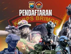 Pendaftaran Bintara Brimob 2025 Dibuka, Ini Persyaratannya