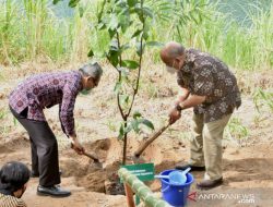 Lari Hutan Sriharjo 2025 di Yogyakarta Hari Ini