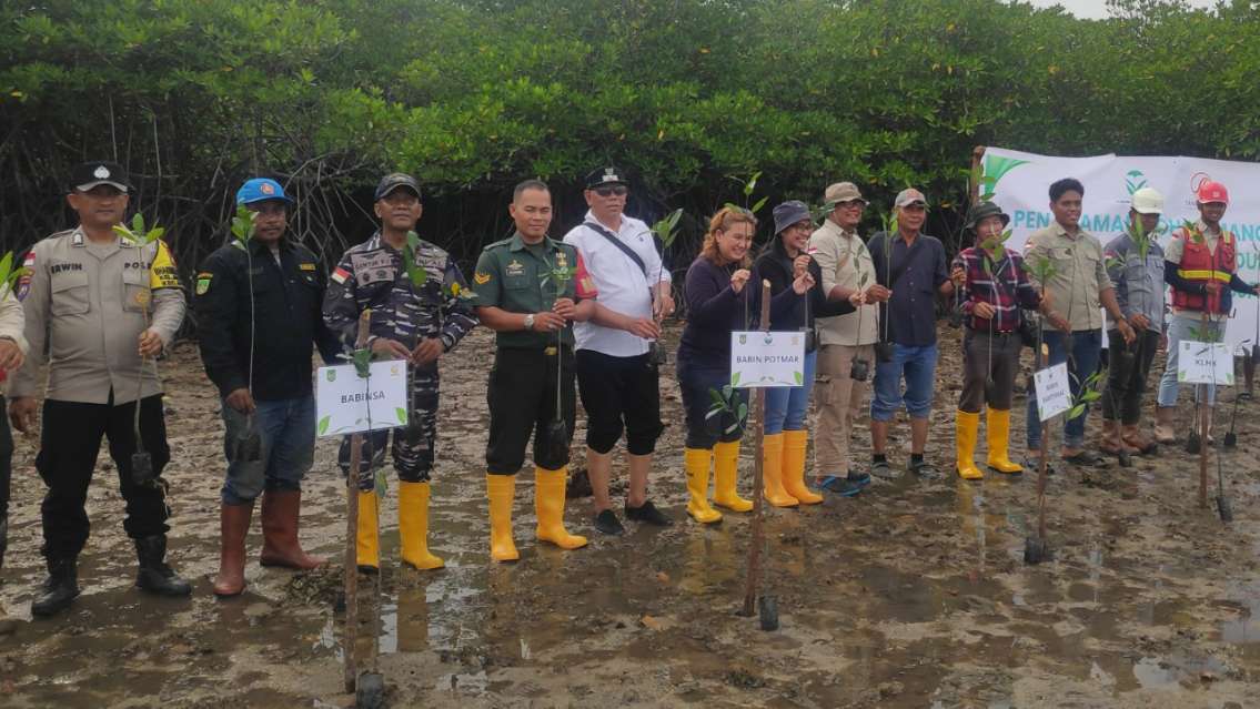 Mangrove di Ngenang