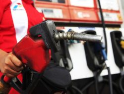 DPR Ingatkan Pemerintah, Program BBM Campur Etanol Jangan Korbankan Pangan Nasional