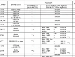 Tarif Listrik PLN 22 Des 2025: Rincian Lengkap Semua Golongan