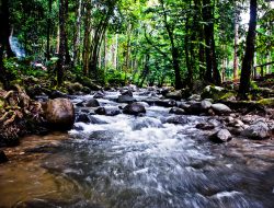 Sungai Gung Meluap, Pancuran 13 & 5 Guci Tegal Ditutup