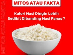 RX King 2026: Mitos atau Fakta?