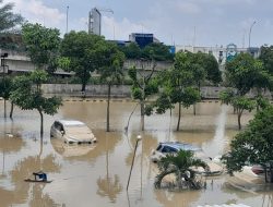 Biaya Servis Mesin Mobil Banjir: Bengkel Umum
