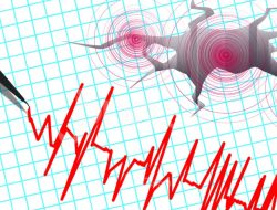 Gempa Pasaman: Penjelasan BMKG