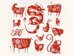 Ramalan Shio Senin 29 Desember 2025: Monyet, Ayam, Anjing, Babi