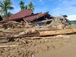 Kayu Banjir Sumatra: Manfaat untuk Rakyat