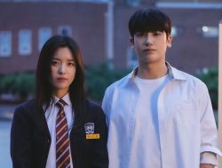 Drakor Romantis Tipis: Park Hyung Sik & Han Hyo Joo Bikin Jatuh Hati!