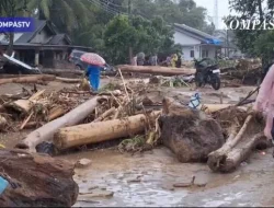 Greenpeace-Walhi: Banjir Sumatra Bukan Hanya Cuaca, Tapi Kegagalan Pengelolaan SDA