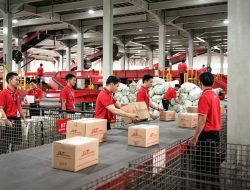 Inovasi & Fokus Pelanggan: J&T Express Naik 60%