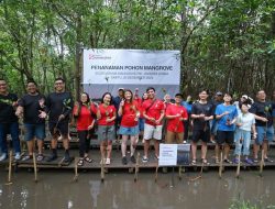 Simas Jiwa: Tumbuhkan Mangrove, Perkuat Pesisir
