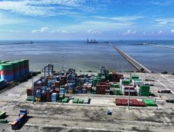 Arus Peti Kemas PT PMT Tumbuh 3% Hingga November 2025