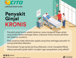 Waspadai Tanda Awal Penyakit Ginjal Kronis yang Sering Terabaikan