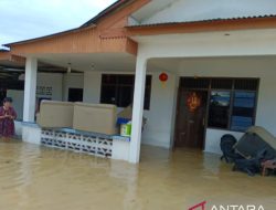Rob Belitung Timur: 81 Rumah Terdampak, Data Lengkap BPBD