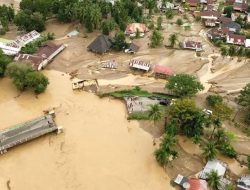 Banjir Sumatera: Pengawasan Kayu Makin Ketat