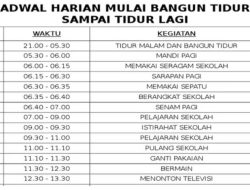Jadwal RCTI Rabu Ini: 17 Desember 2025