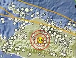 Gempa Papua: Info Terkini BMKG