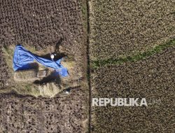 Misteri Beras 2026