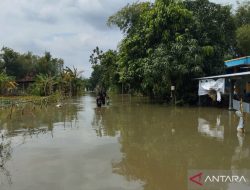 Status Darurat Banjir Pati Diperpanjang!