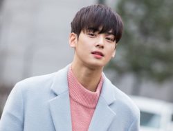 Cha Eun Woo: Tuduhan Penggelapan Pajak – Fakta Penting