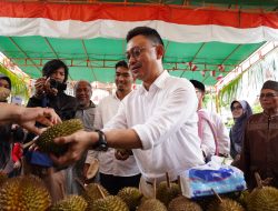 3 Berita Terhangat: Nilam Meroket, Warga Sulut Jadi Robot?