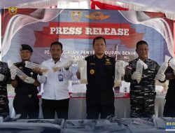 129 Ribu Benih Lobster Senilai Rp 12,9 Miliar Disita Bea Cukai Kepri