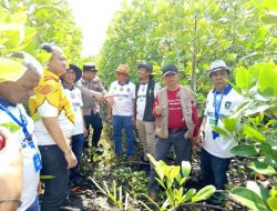 ​Peringati HPN 2026, Komunitas Jurnalis Kepri Tanam 500 Ribu Mangrove di Bintan