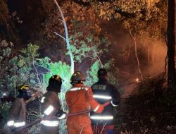 Hutan Belakang Perumahan Taman Lestari Batam Terbakar, Polisi Kerahkan Water Cannon