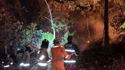 Hutan Belakang Perumahan Taman Lestari Batam Terbakar, Polisi Kerahkan Water Cannon