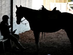 Grafton Monday: Your Winning Race Guide