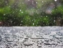 Jakarta Hari Ini: Waspada Hujan, Siapkan Payung!