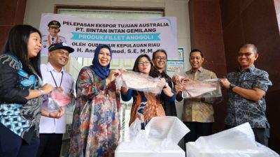 0,7 Ton Fillet Ikan Anggoli Bintan Tembus Pasar Sydney