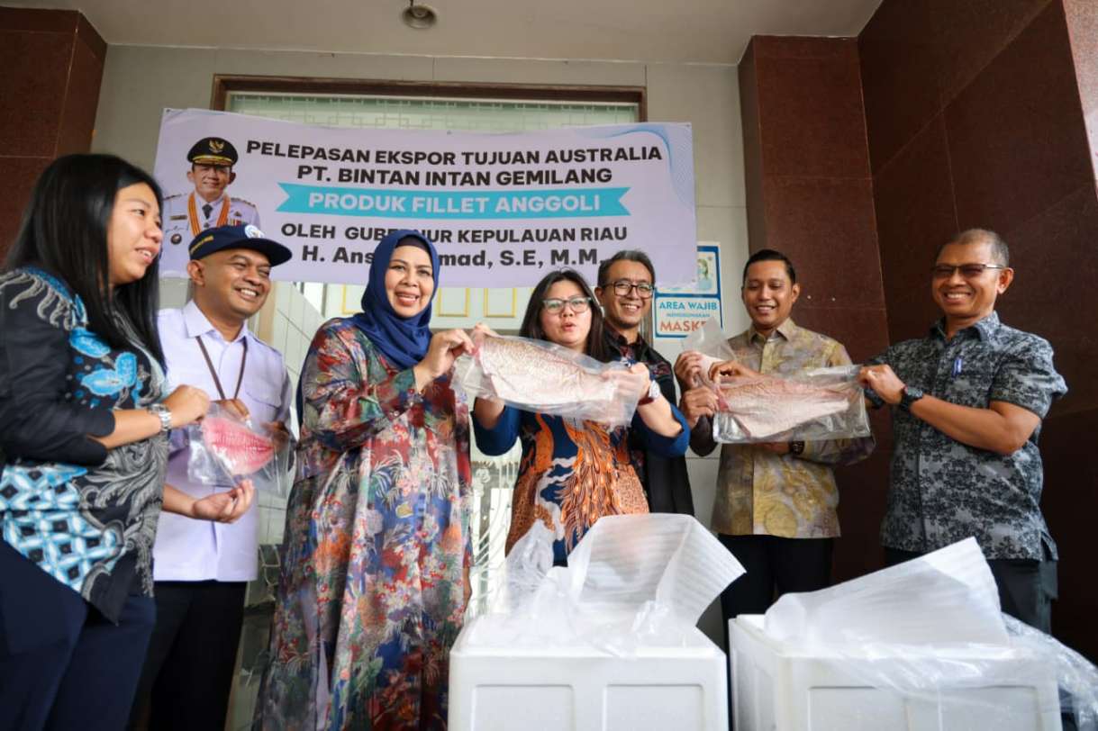 ikan anggoli Bintan