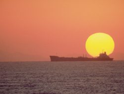 Aussie Oil Boom: 70% Back More Drilling