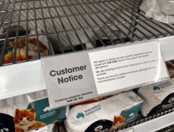 Coles Cat Litter Crisis: Rail Woes Leave Shelves Bare