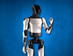 Optimus 2026: Release, Price, and How to Buy