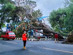 Anomali Cuaca Ancam Kota Serang, BPBD Siap Tangani Kekeringan dan Banjir