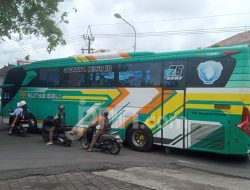 Jadwal dan Harga Tiket Bus AKAP Bali ke Jawa, Cek Sekarang!