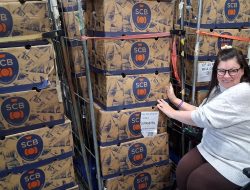 38,000 Bananas Mistakenly Delivered to Scottish Town