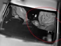 Aussie Dad Fined Over $2,115 for Common Driving Offense
