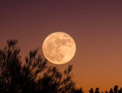 Bulan Merah Muda 2026: Keajaiban Langit April
