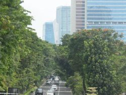 Cuaca Surabaya Hari Ini: Cerah 24 Jam, Suhu Capai 33 Derajat