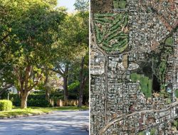 Aussie council’s $240k battle against invasive pest as suburb crisis escalates